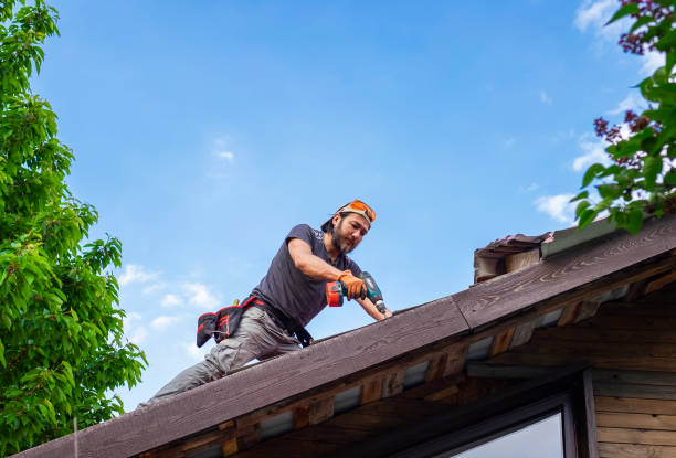 Best Sheet Metal Roofing  in Springville, AL