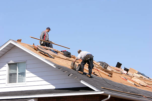 Best Rubber Roofing (EPDM, TPO)  in Springville, AL